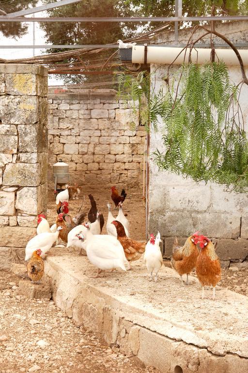 מונופולי Masseria Curatori מראה חיצוני תמונה