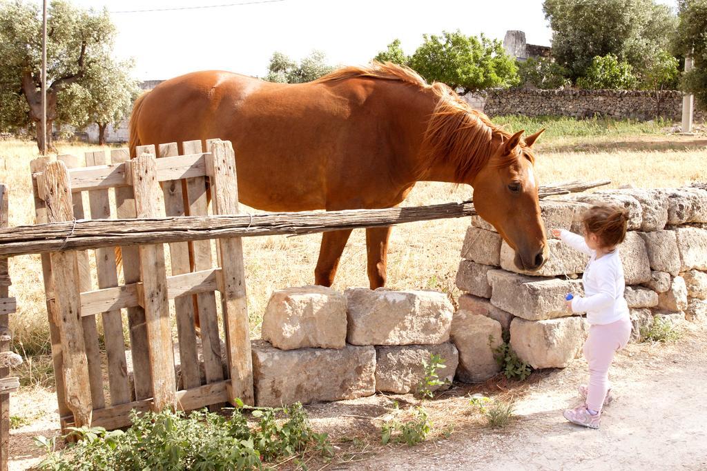 מונופולי Masseria Curatori מראה חיצוני תמונה